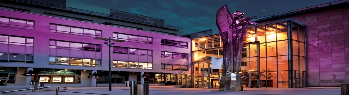 National College of Ireland